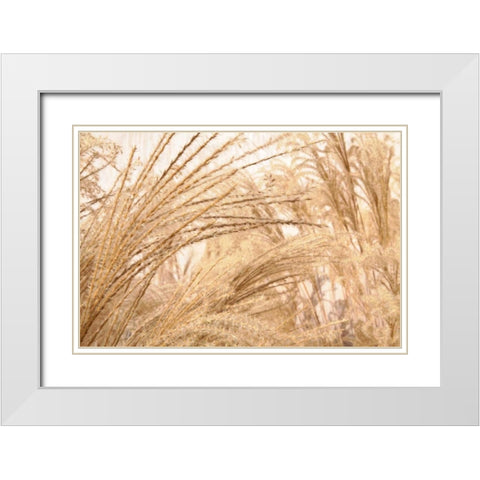 Blowing Grass II White Modern Wood Framed Art Print with Double Matting by Styber, Dana