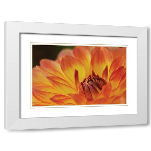 Orange Flame White Modern Wood Framed Art Print with Double Matting by Styber, Dana