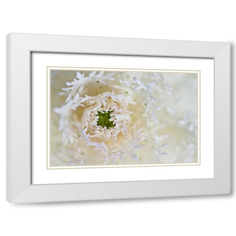 Green Ornamental I White Modern Wood Framed Art Print with Double Matting by Styber, Dana