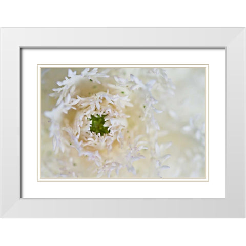 Green Ornamental I White Modern Wood Framed Art Print with Double Matting by Styber, Dana