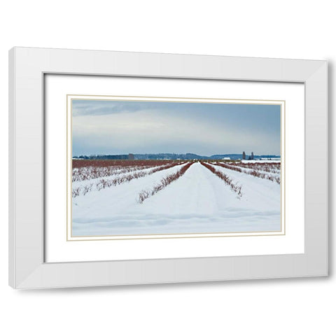 Berries Under Snow I White Modern Wood Framed Art Print with Double Matting by Styber, Dana