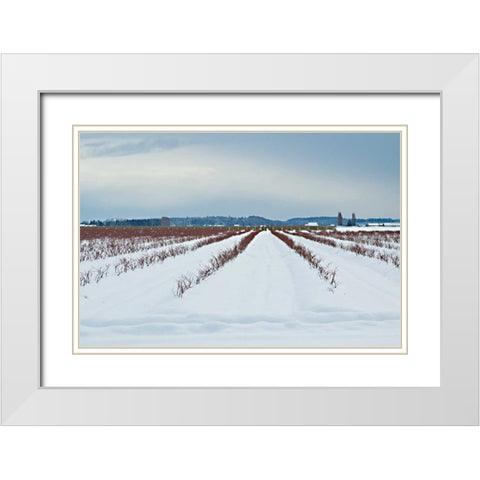 Berries Under Snow I White Modern Wood Framed Art Print with Double Matting by Styber, Dana