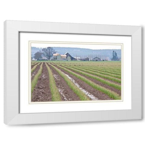 Graceful Greens I White Modern Wood Framed Art Print with Double Matting by Styber, Dana