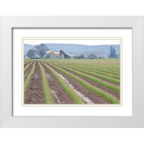 Graceful Greens I White Modern Wood Framed Art Print with Double Matting by Styber, Dana
