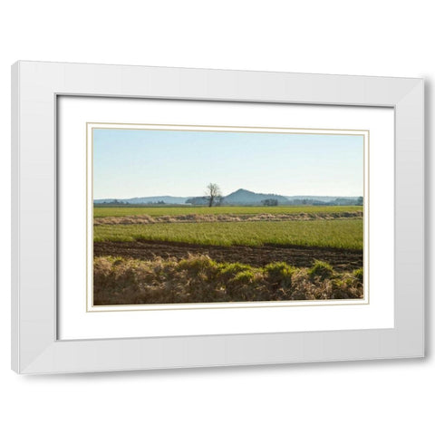 Golden Greens White Modern Wood Framed Art Print with Double Matting by Styber, Dana