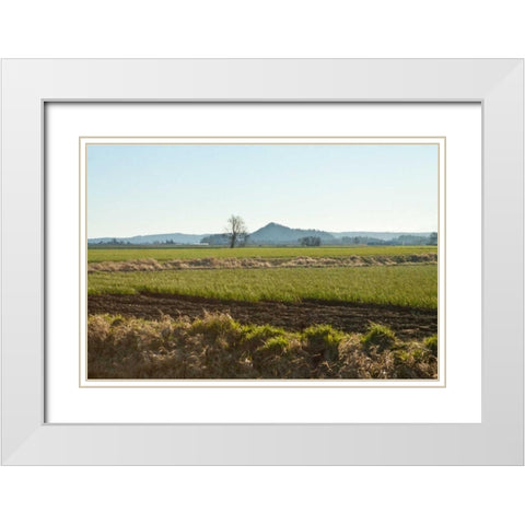 Golden Greens White Modern Wood Framed Art Print with Double Matting by Styber, Dana