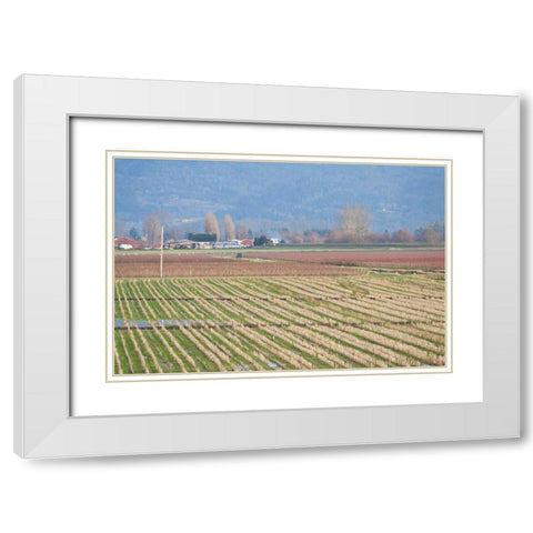 Red and Gold Fields I White Modern Wood Framed Art Print with Double Matting by Styber, Dana