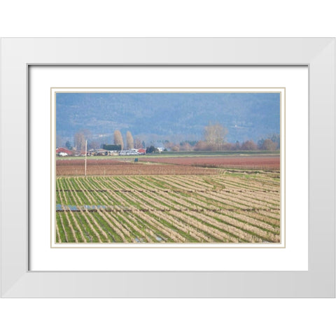 Red and Gold Fields I White Modern Wood Framed Art Print with Double Matting by Styber, Dana