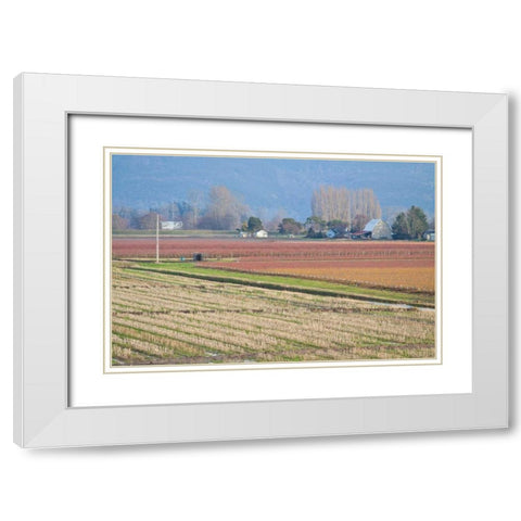 Red and Gold Fields II White Modern Wood Framed Art Print with Double Matting by Styber, Dana