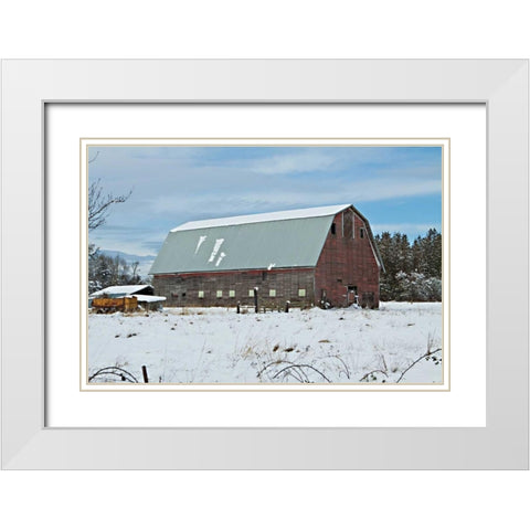 Red Barn in Winter White Modern Wood Framed Art Print with Double Matting by Styber, Dana