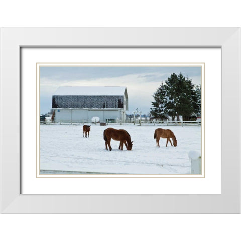 Grazing the Snow White Modern Wood Framed Art Print with Double Matting by Styber, Dana