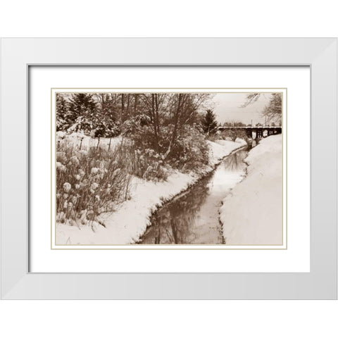 Winter Scenic II White Modern Wood Framed Art Print with Double Matting by Styber, Dana