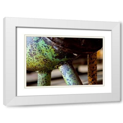 Underbelly White Modern Wood Framed Art Print with Double Matting by Styber, Dana