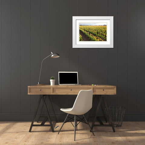 Tulips at Sunset IV White Modern Wood Framed Art Print with Double Matting by Styber, Dana