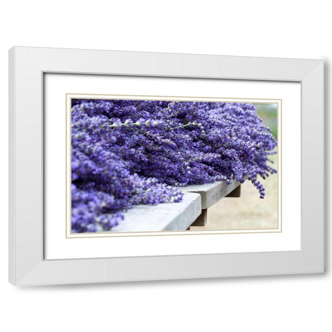 Lavender Harvest I White Modern Wood Framed Art Print with Double Matting by Styber, Dana