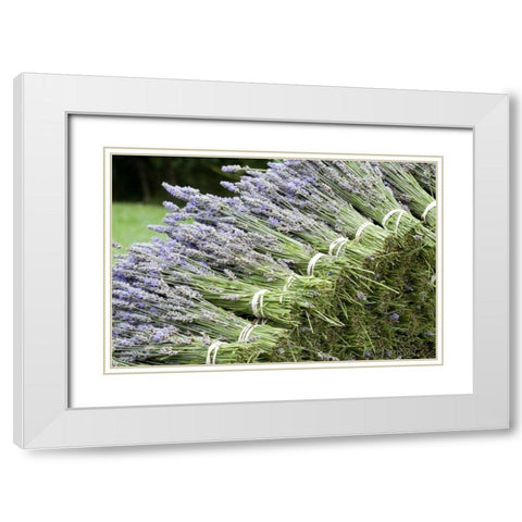 Lavender Bunches II White Modern Wood Framed Art Print with Double Matting by Styber, Dana