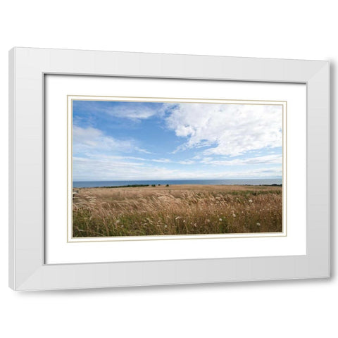 Bluff View White Modern Wood Framed Art Print with Double Matting by Styber, Dana