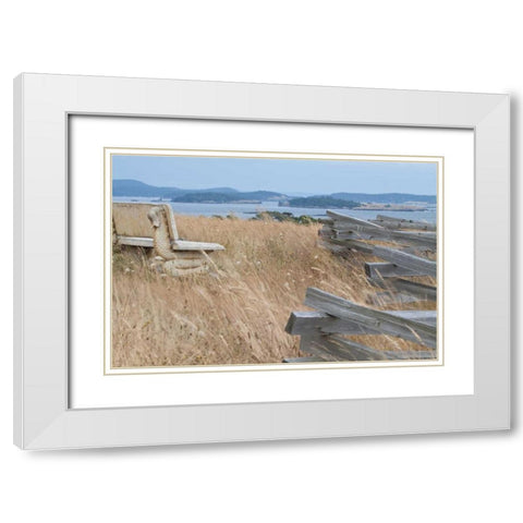 Grassy Knoll White Modern Wood Framed Art Print with Double Matting by Styber, Dana