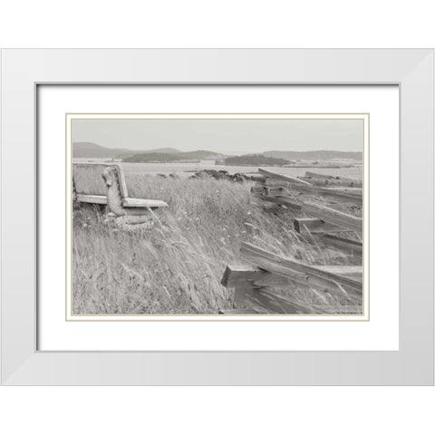 Grassy Knoll White Modern Wood Framed Art Print with Double Matting by Styber, Dana