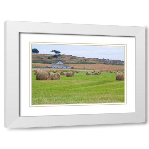 Hay Rolls II White Modern Wood Framed Art Print with Double Matting by Styber, Dana