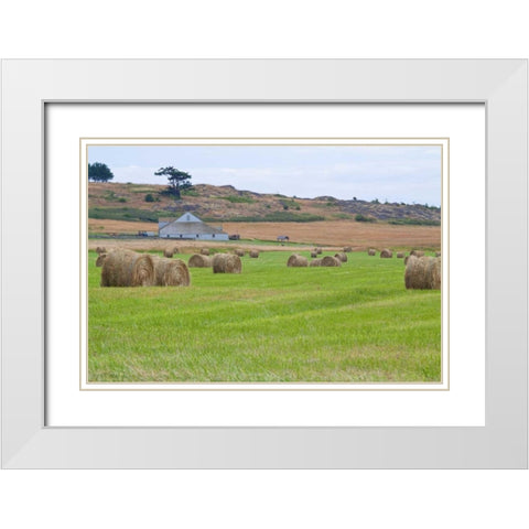 Hay Rolls II White Modern Wood Framed Art Print with Double Matting by Styber, Dana