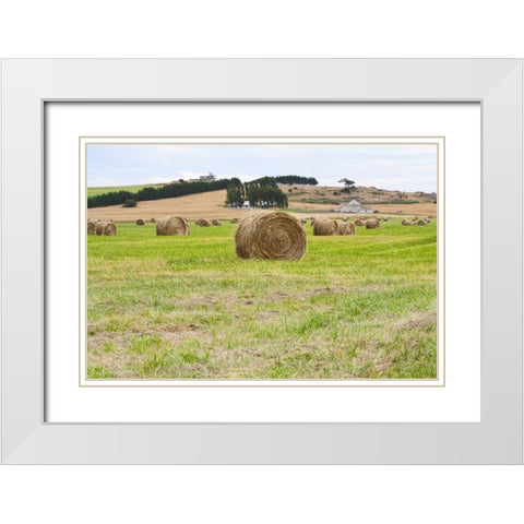 Hay Rolls III White Modern Wood Framed Art Print with Double Matting by Styber, Dana