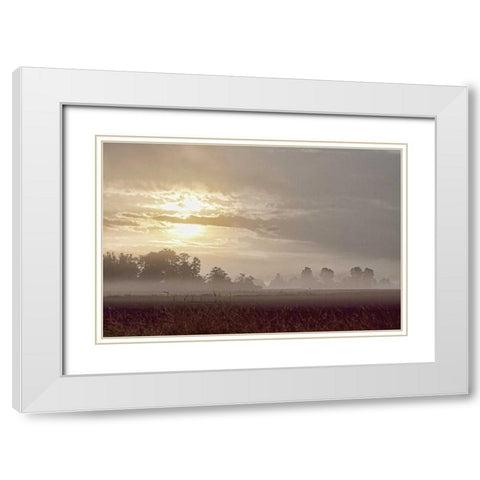 Foggy Morning I White Modern Wood Framed Art Print with Double Matting by Styber, Dana