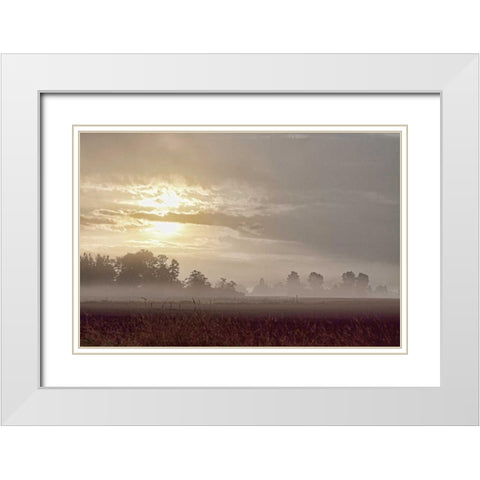 Foggy Morning I White Modern Wood Framed Art Print with Double Matting by Styber, Dana