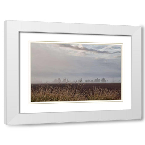 Foggy Morning II White Modern Wood Framed Art Print with Double Matting by Styber, Dana