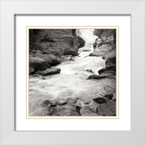 Box Canyon III White Modern Wood Framed Art Print with Double Matting by Styber, Dana
