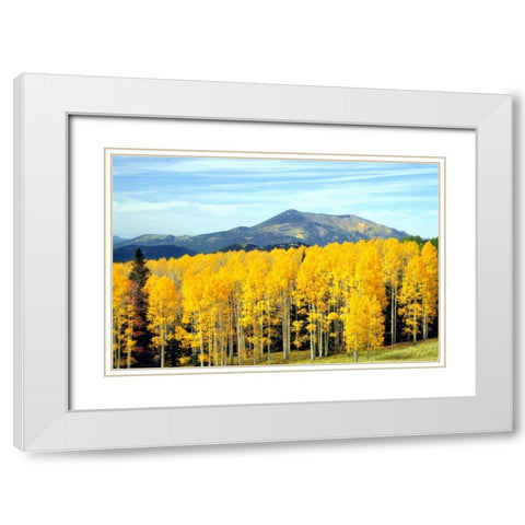 Aspens of Autumn I White Modern Wood Framed Art Print with Double Matting by Taylor, Douglas