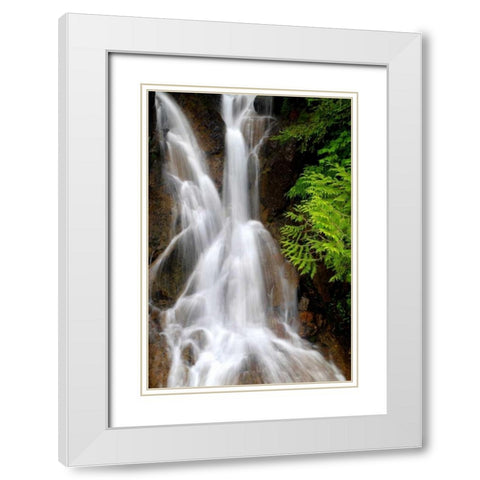 Falling Water I White Modern Wood Framed Art Print with Double Matting by Taylor, Douglas