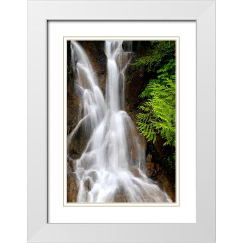 Falling Water I White Modern Wood Framed Art Print with Double Matting by Taylor, Douglas