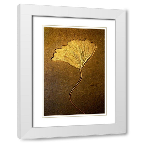 Crinoids II White Modern Wood Framed Art Print with Double Matting by Taylor, Douglas