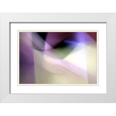 Tazza White Modern Wood Framed Art Print with Double Matting by Taylor, Douglas