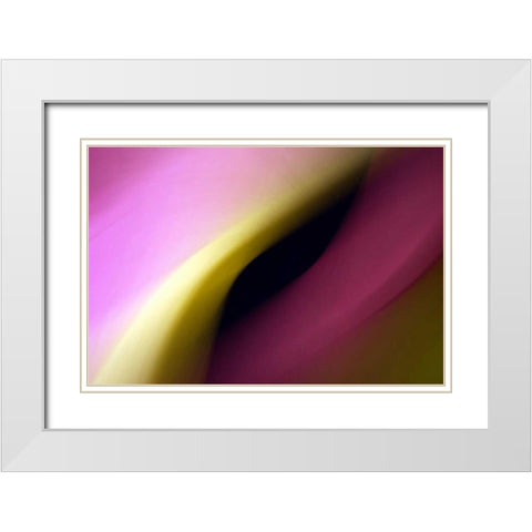 Twisted Beams I White Modern Wood Framed Art Print with Double Matting by Taylor, Douglas