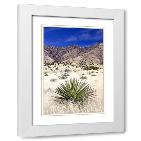 Desert Grasslands I White Modern Wood Framed Art Print with Double Matting by Taylor, Douglas