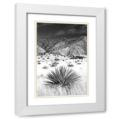 Desert Grasslands I BW White Modern Wood Framed Art Print with Double Matting by Taylor, Douglas
