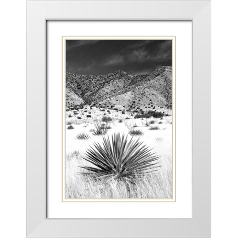 Desert Grasslands I BW White Modern Wood Framed Art Print with Double Matting by Taylor, Douglas