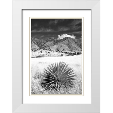 Desert Grasslands II BW White Modern Wood Framed Art Print with Double Matting by Taylor, Douglas