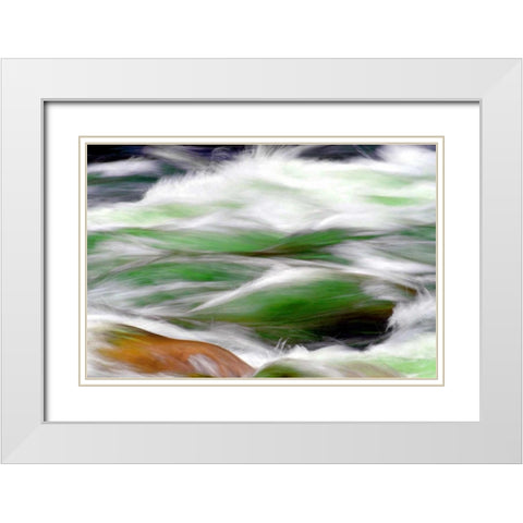 River Rapids White Modern Wood Framed Art Print with Double Matting by Taylor, Douglas