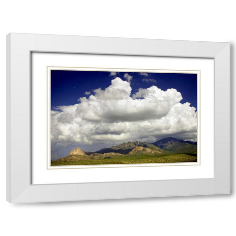 Santa Rita Mountains in August White Modern Wood Framed Art Print with Double Matting by Taylor, Douglas