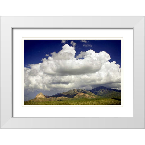 Santa Rita Mountains in August White Modern Wood Framed Art Print with Double Matting by Taylor, Douglas