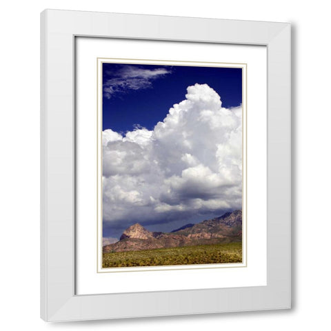 Gathering Summer Storm White Modern Wood Framed Art Print with Double Matting by Taylor, Douglas
