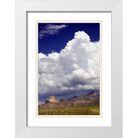 Gathering Summer Storm White Modern Wood Framed Art Print with Double Matting by Taylor, Douglas