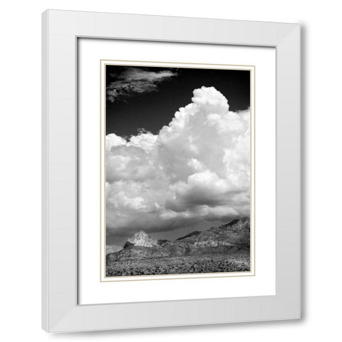 Gathering Summer Storm BW White Modern Wood Framed Art Print with Double Matting by Taylor, Douglas