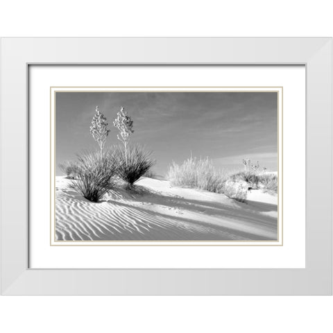Shadows in the Sand II White Modern Wood Framed Art Print with Double Matting by Taylor, Douglas