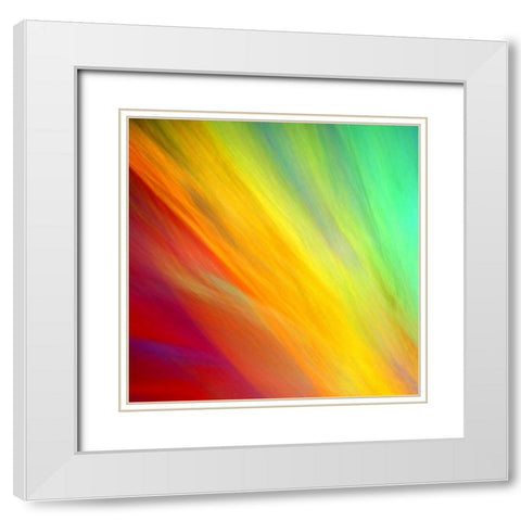 Brushfire I White Modern Wood Framed Art Print with Double Matting by Taylor, Douglas