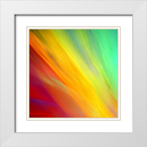 Brushfire I White Modern Wood Framed Art Print with Double Matting by Taylor, Douglas