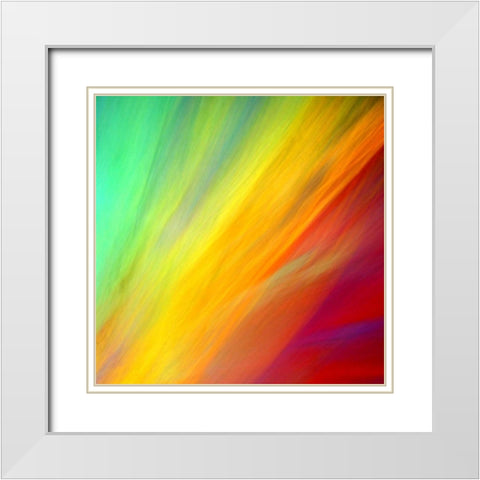 Brushfire II White Modern Wood Framed Art Print with Double Matting by Taylor, Douglas